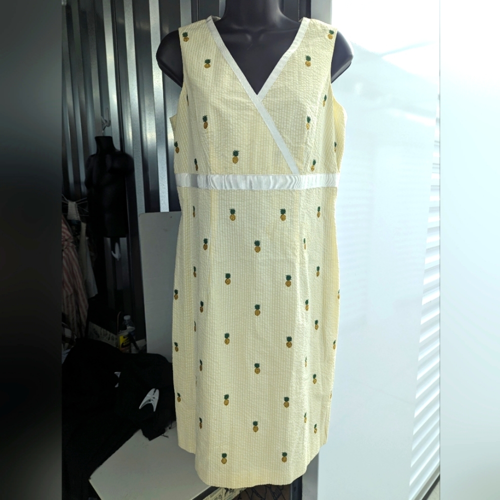 Brooks Brothers Dress